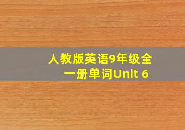 人教版英语9年级全一册单词Unit 6